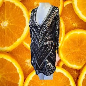 Express Black Sequin V‎ Neck Bodycon Dress with See through Sleeve Parts Size